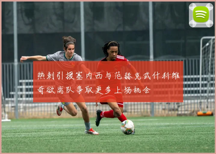 热刺引援塞内西与范赫克武什科维奇欲离队争取更多上场机会