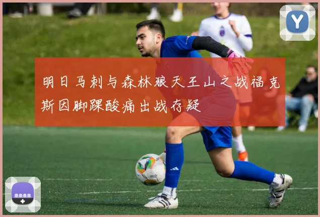 明日马刺与森林狼天王山之战福克斯因脚踝酸痛出战存疑